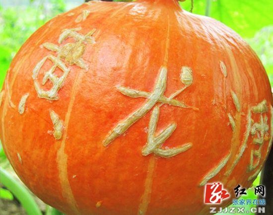 八方遊客盛贊張家(jiā)界黃(huáng)龍洞景區(qū)種出來(lái)的(de)七彩風(fēng)景