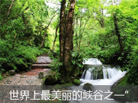 金(jīn)鞭溪