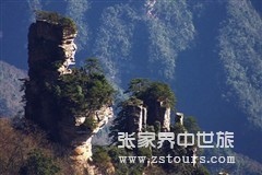 天仙女(nǚ)獻花(huā).jpg