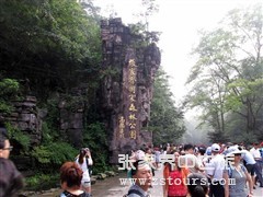 森(sēn)林(lín)公園