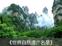 張家(jiā)界國(guó)家(jiā)森(sēn)林(lín)公園