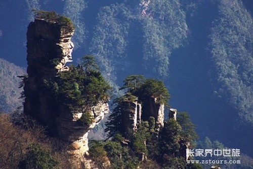 天仙女(nǚ)獻花(huā).jpg