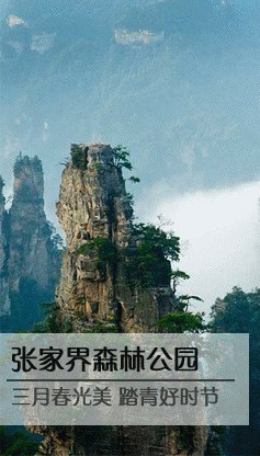張家(jiā)界國(guó)家(jiā)森(sēn)林(lín)公園